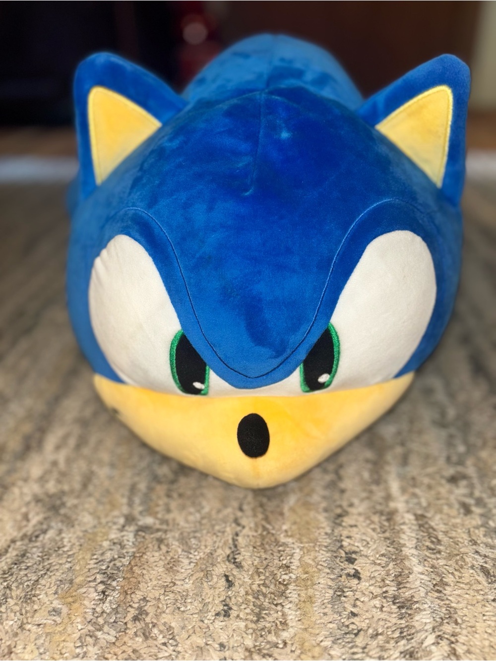 Blue Plush Sonic the Hedgehog Plushie/Pillow